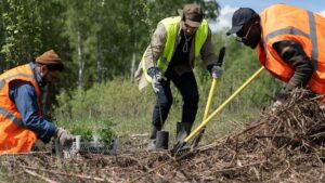 Hutan Konservasi Adalah: Fungsi, Jenis, Dan Pengertian